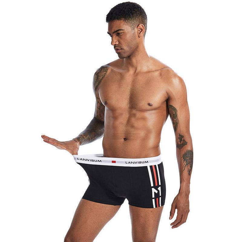 Трусы Lanvibum L Черный (7233) Трусы Lanvibum L Черный (7233)