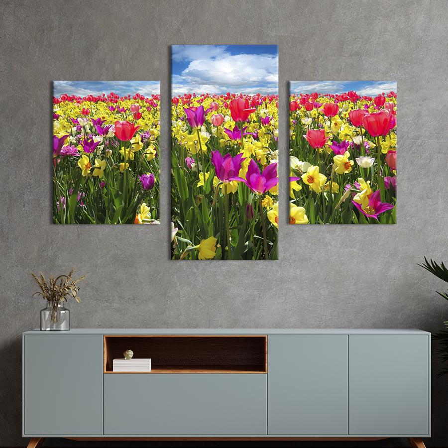 Картина на холсте триптих Яркие тюльпаны на поле 96x60 см (1006-32)