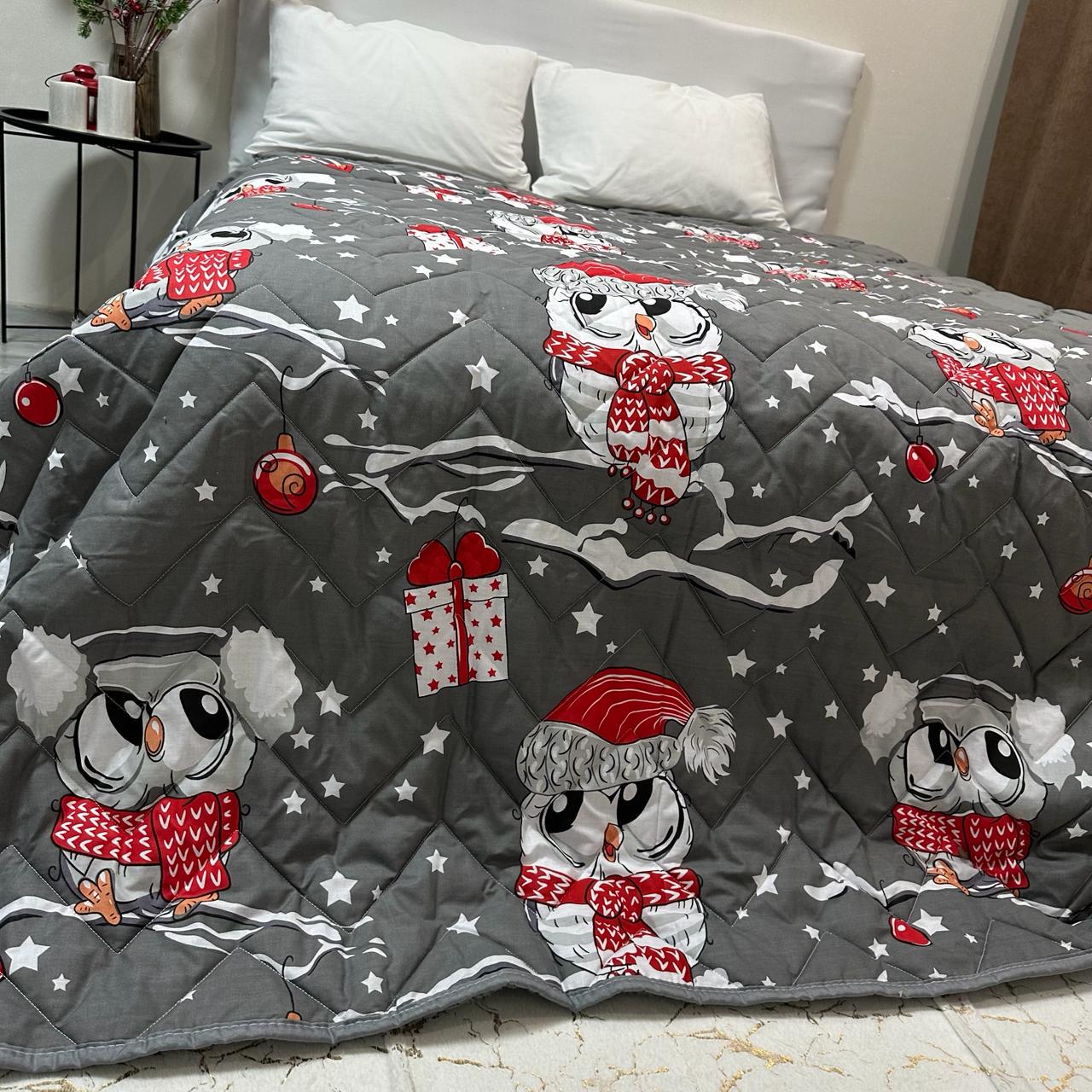 Покрывало-одеяло детское двустороннее Совы 150х210 см Серый (P-DL-5)