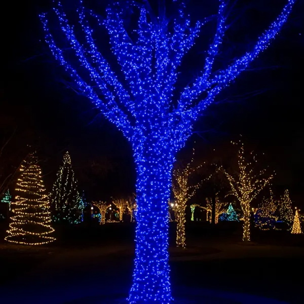 Гирлянда нить уличная 1000 LED 100 м от сети белая нить Синий - фото 1 Гирлянда нить уличная 1000 LED 100 м от сети белая нить Синий - фото 1