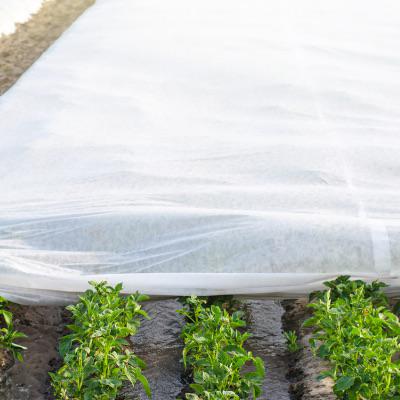 Агроволокно Greentex Р100 3,2x15 м Белый (25247123) - фото 2 Агроволокно Greentex Р100 3,2x15 м Белый (25247123) - фото 2