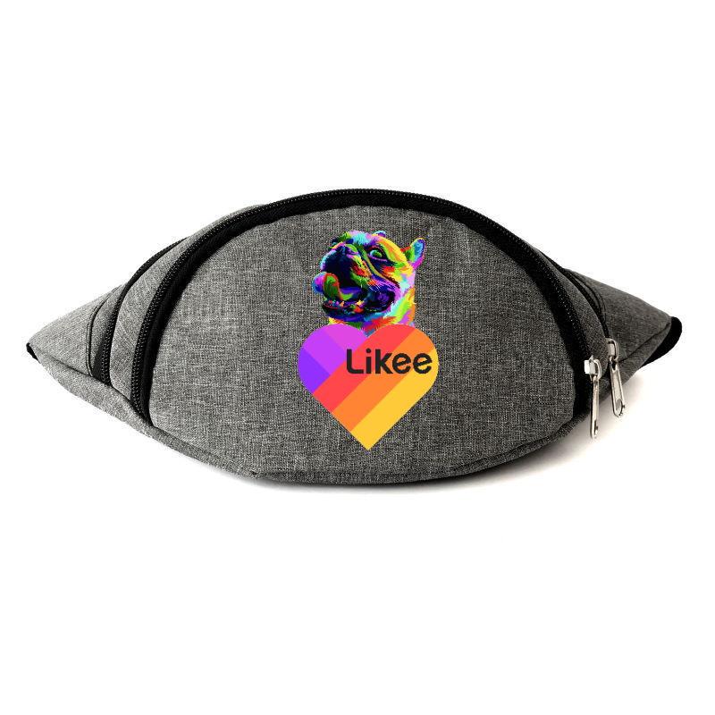 Поясные сумки-бананка Likee OB-L-01 Серый (1267577022) Поясные сумки-бананка Likee OB-L-01 Серый (1267577022)