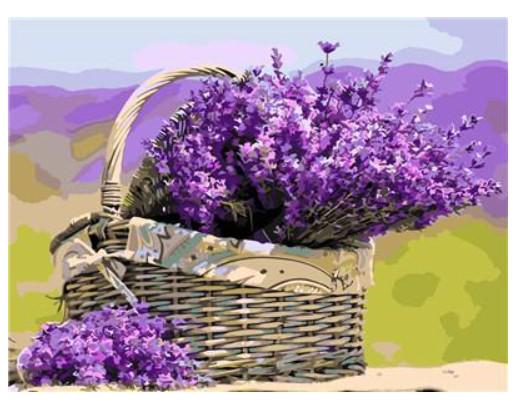 Картина по номерам Josef Otten Цветы Полевые цветы 40х50 см в термопакете (5506RA_O-mt)