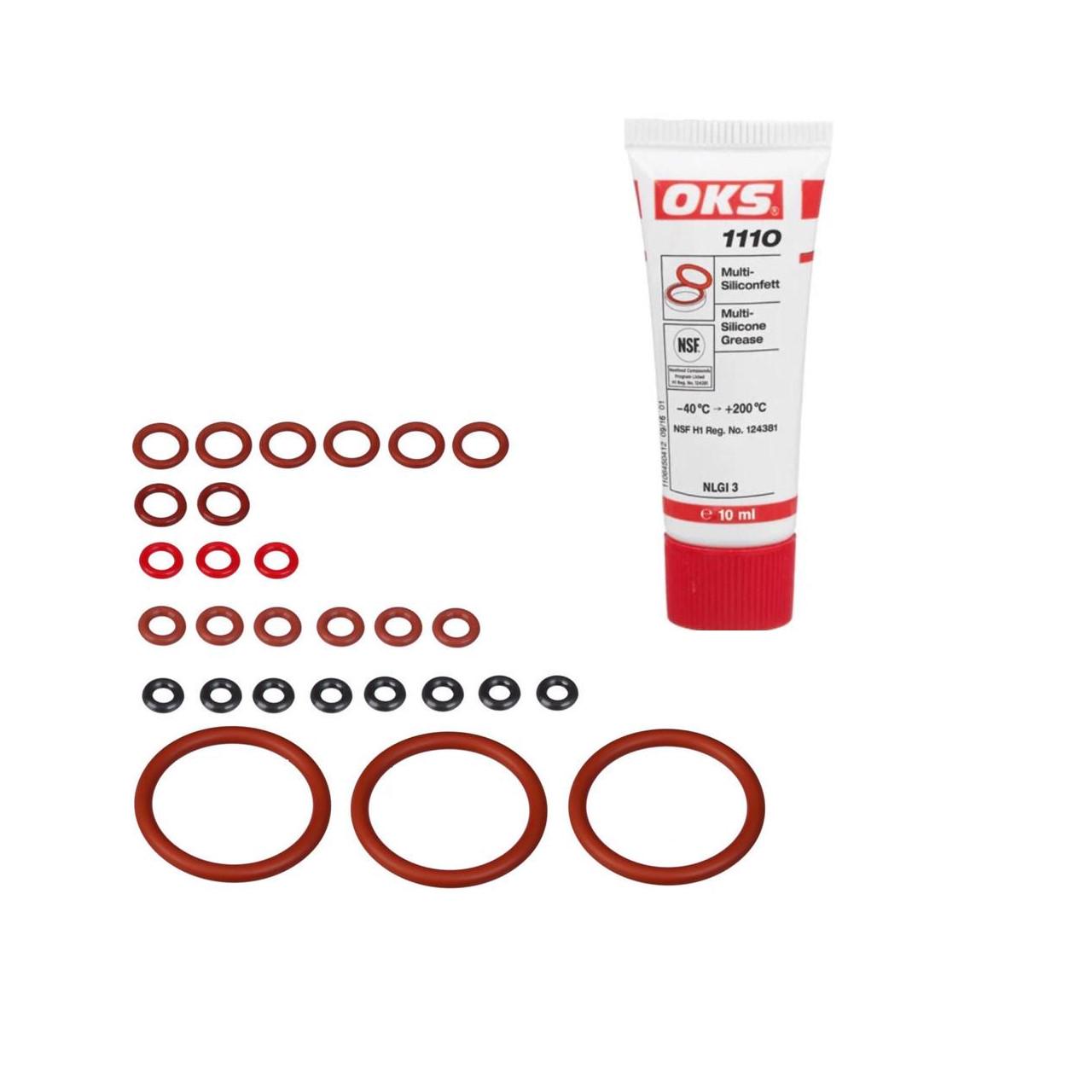 Ремкомплект заварного блока и поршня термоблока кофемашины AEG Silenzio/Grande (1601986184)