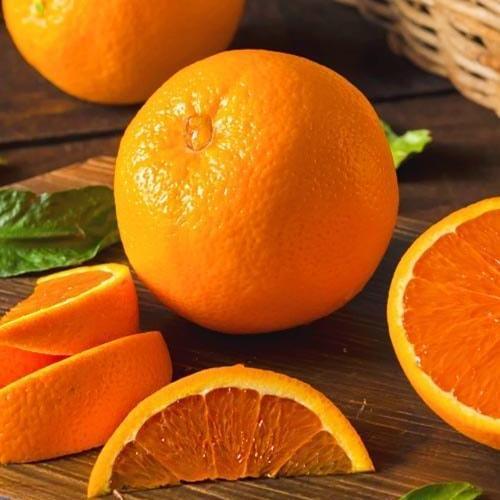 Сажанец Апельсин Пупочный (44380)
