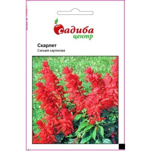 Семена цветов Садиба Центр Сальвия Скарлет 0,1 г (SZ-0989)