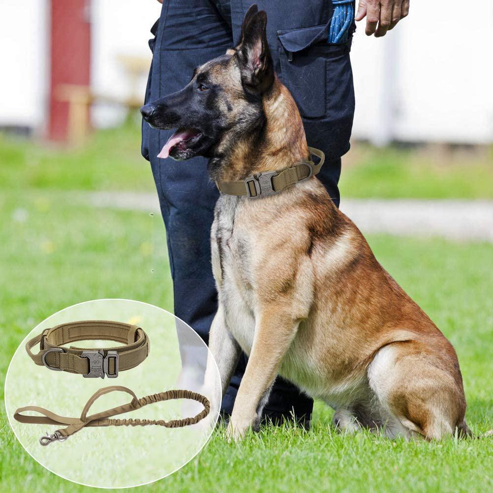 Ошейник с поводком для собак Harness нейлоновый с металлической пряжкой-фастекс XL 53-63 см Коричневый (1787154568) - фото 2 Ошейник с поводком для собак Harness нейлоновый с металлической пряжкой-фастекс XL 53-63 см Коричневый (1787154568) - фото 2