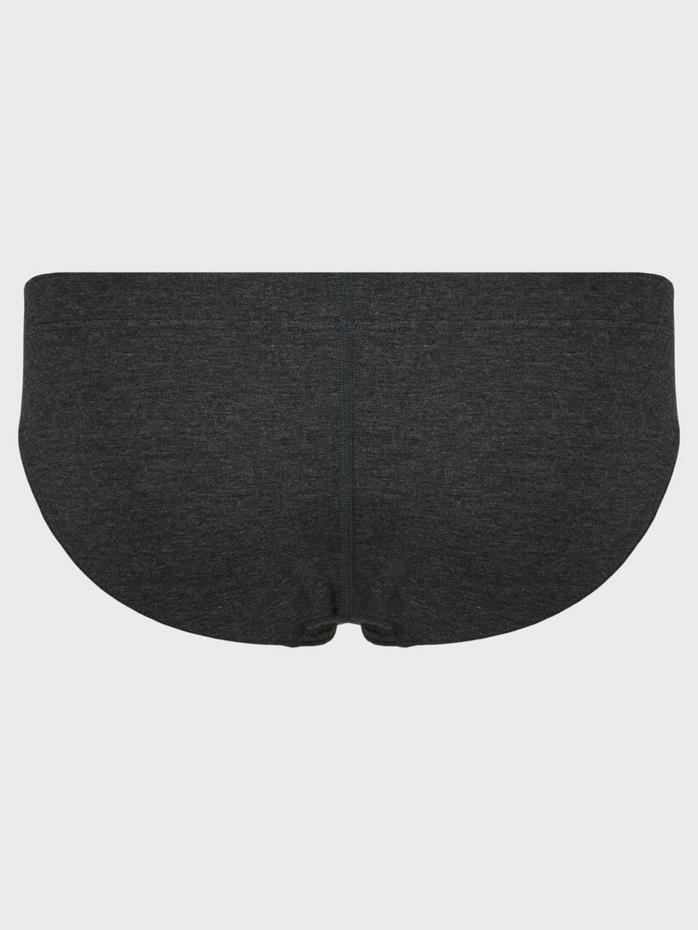 Трусы слипы Geronimo 1951s2 S 19511/Серый (3800205880622) - фото 2 Трусы слипы Geronimo 1951s2 S 19511/Серый (3800205880622) - фото 2