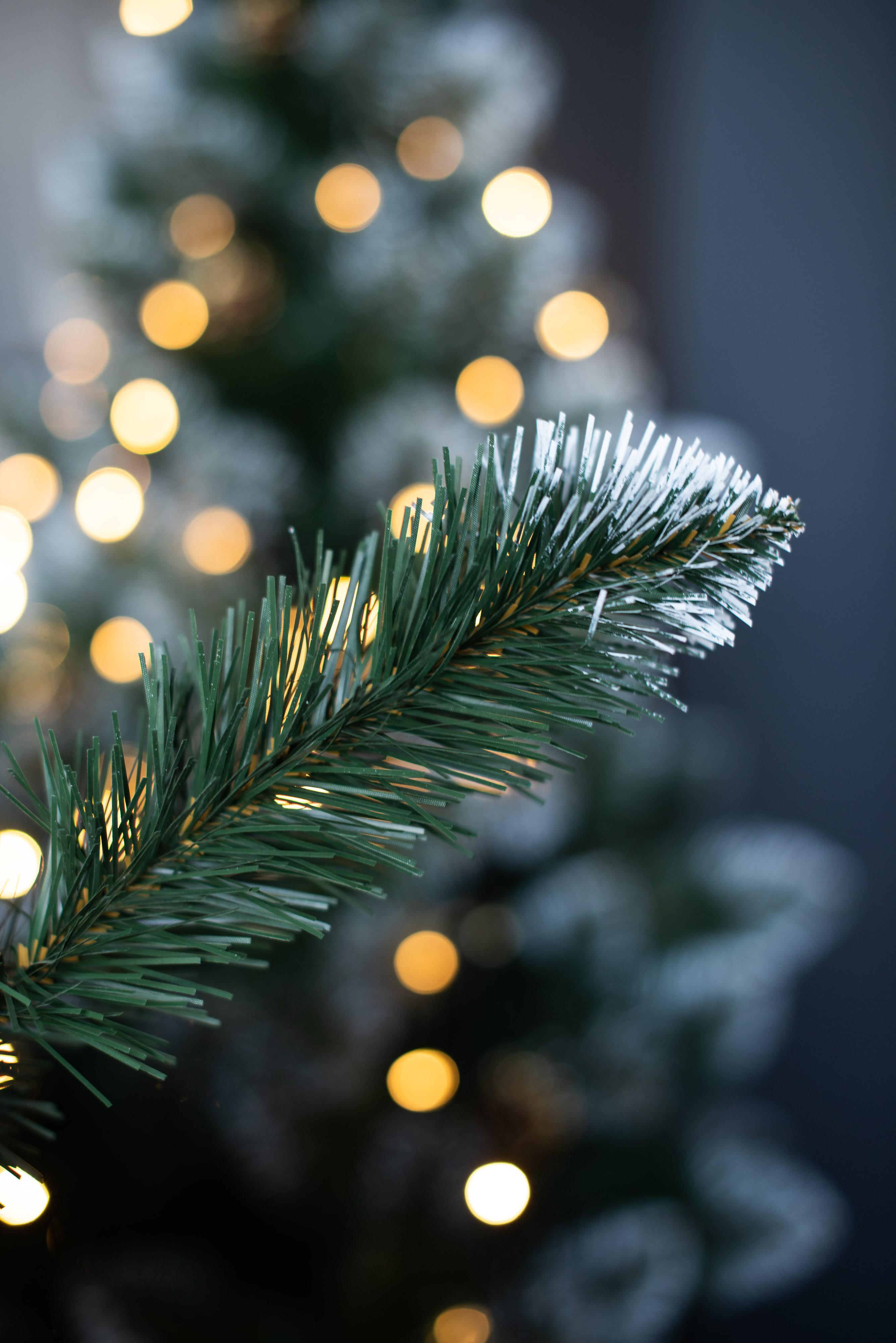 Елка искусственная Карпатская 2,2 м (YK-220-KARP) - фото 3 Елка искусственная Карпатская 2,2 м (YK-220-KARP) - фото 3