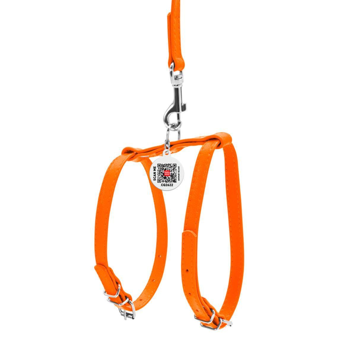 Шлея з повідцем для собак Waudog Glamour з QR паспортом/шкіряна 12 мм х 25-33 см х 35-43 см Помаранчевий (34004 Col) Шлея з повідцем для собак Waudog Glamour з QR паспортом/шкіряна 12 мм х 25-33 см х 35-43 см Помаранчевий (34004 Col)