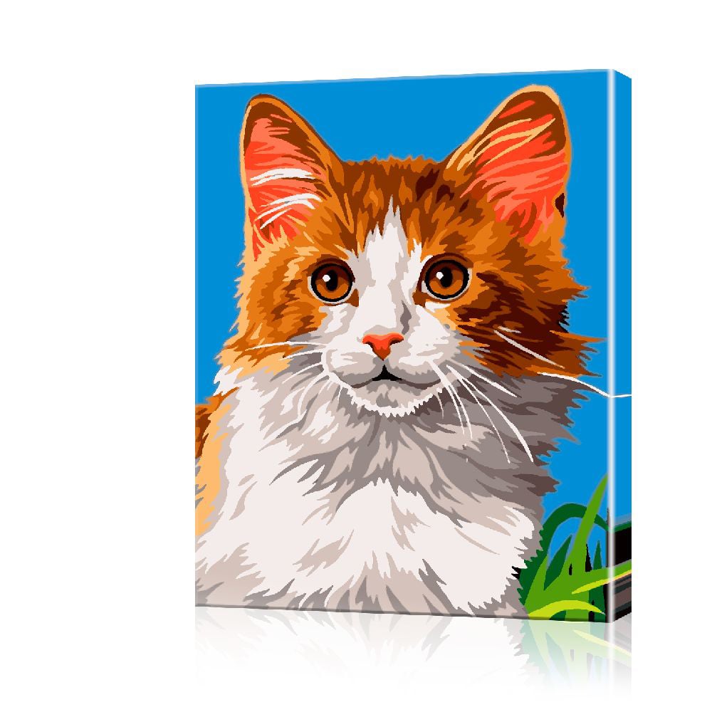 Картина по номерам ArtSale Рыжий кот PBN0031 30х40 см