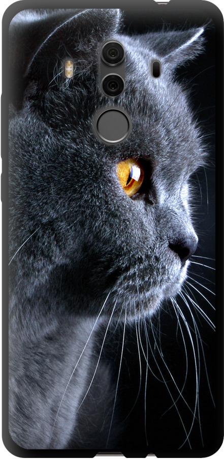 Чехол на Huawei Mate 10 Pro Красивый кот (3038b-1138-42517)