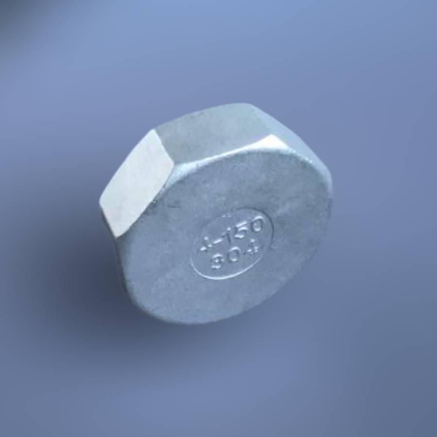 Заглушка восьмигранна DN100 BSPP н/ж сталь AISI304 Class-150 внутрішня різьба 4" (29203214) - фото 2 Заглушка восьмигранна DN100 BSPP н/ж сталь AISI304 Class-150 внутрішня різьба 4" (29203214) - фото 2