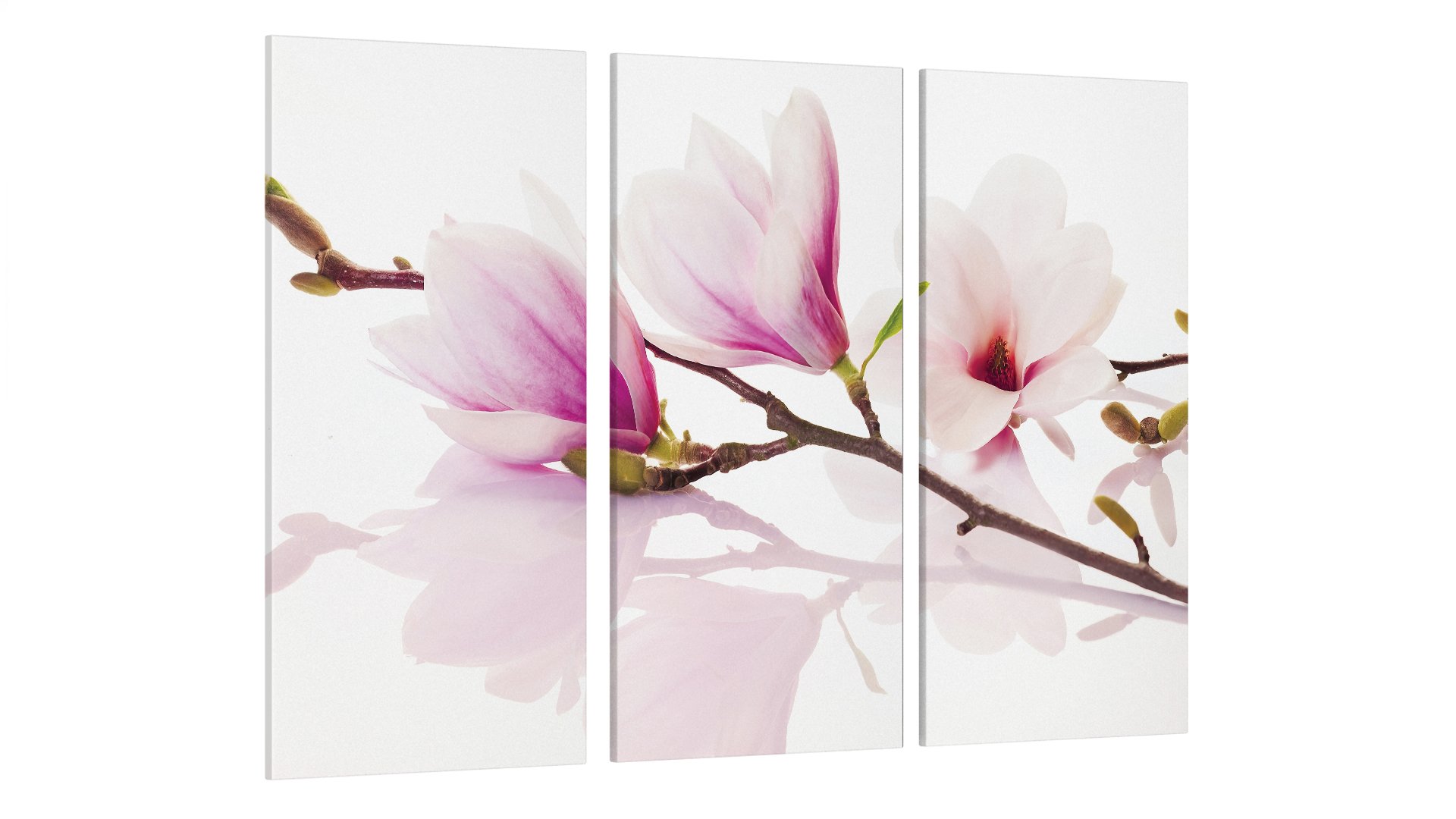Картина модульная Цветы Магнолия (Art-20_XXL)