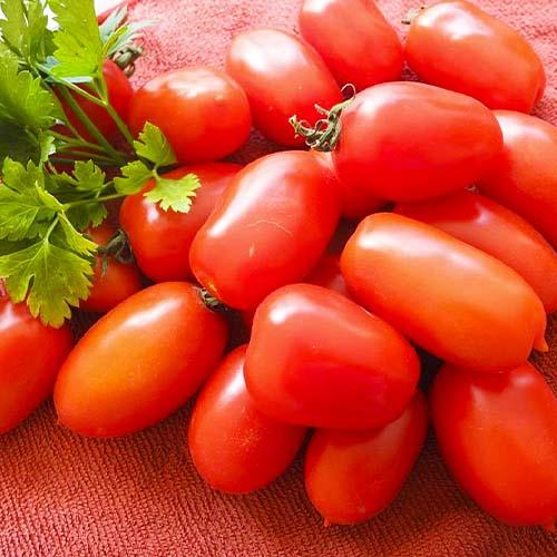 Семена Томат Florium Гібрид-7 Тарасенко (17132)