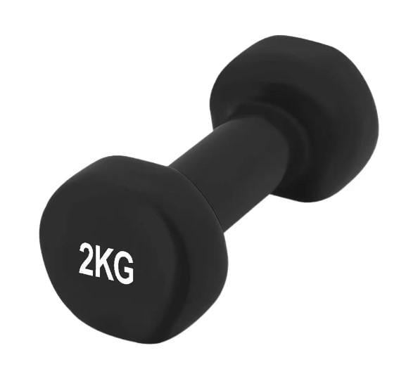 Гантель виниловая PowerPlay Achilles 4125 2 кг 1 шт. Черный (PP_4125_2kg)