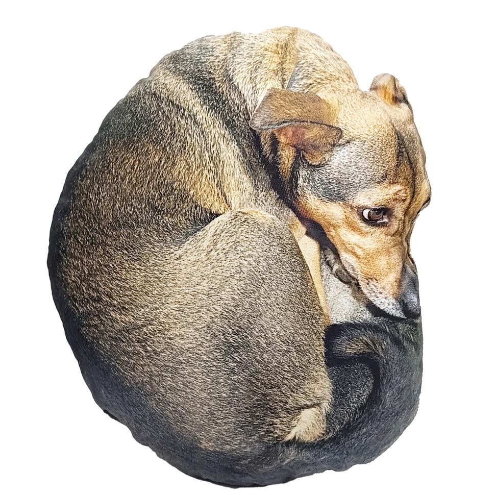 Мягкая игрушка Собака Маня DOG-M 42 см