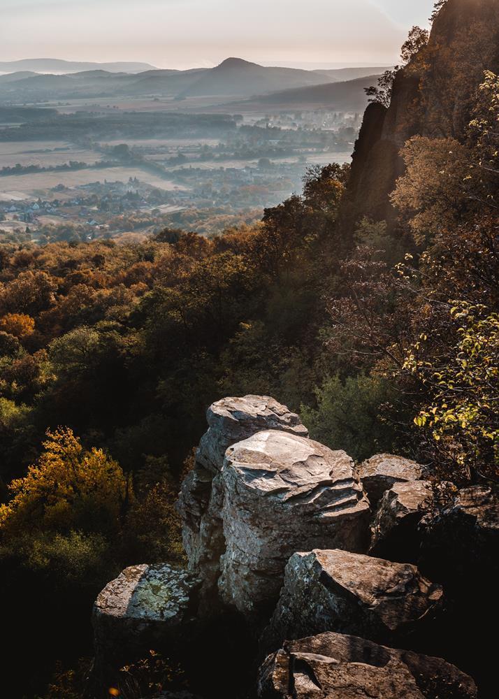 Картина на холсте Природа 85х55 см (N110)