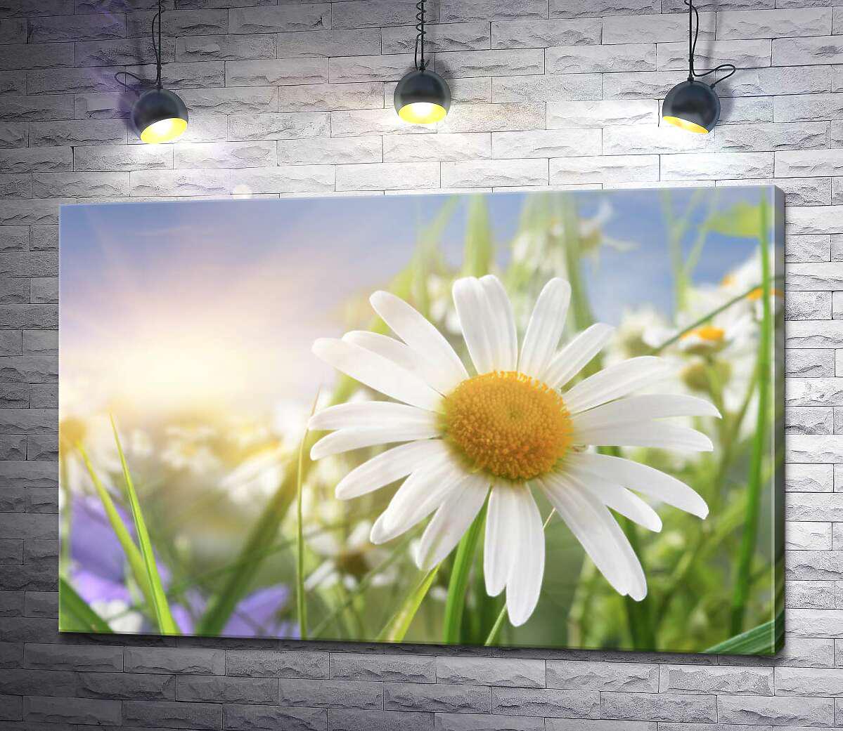 Картина ArtPoster Белая ромашка в солнечный день 130x87 см Модуль №1 (004531)