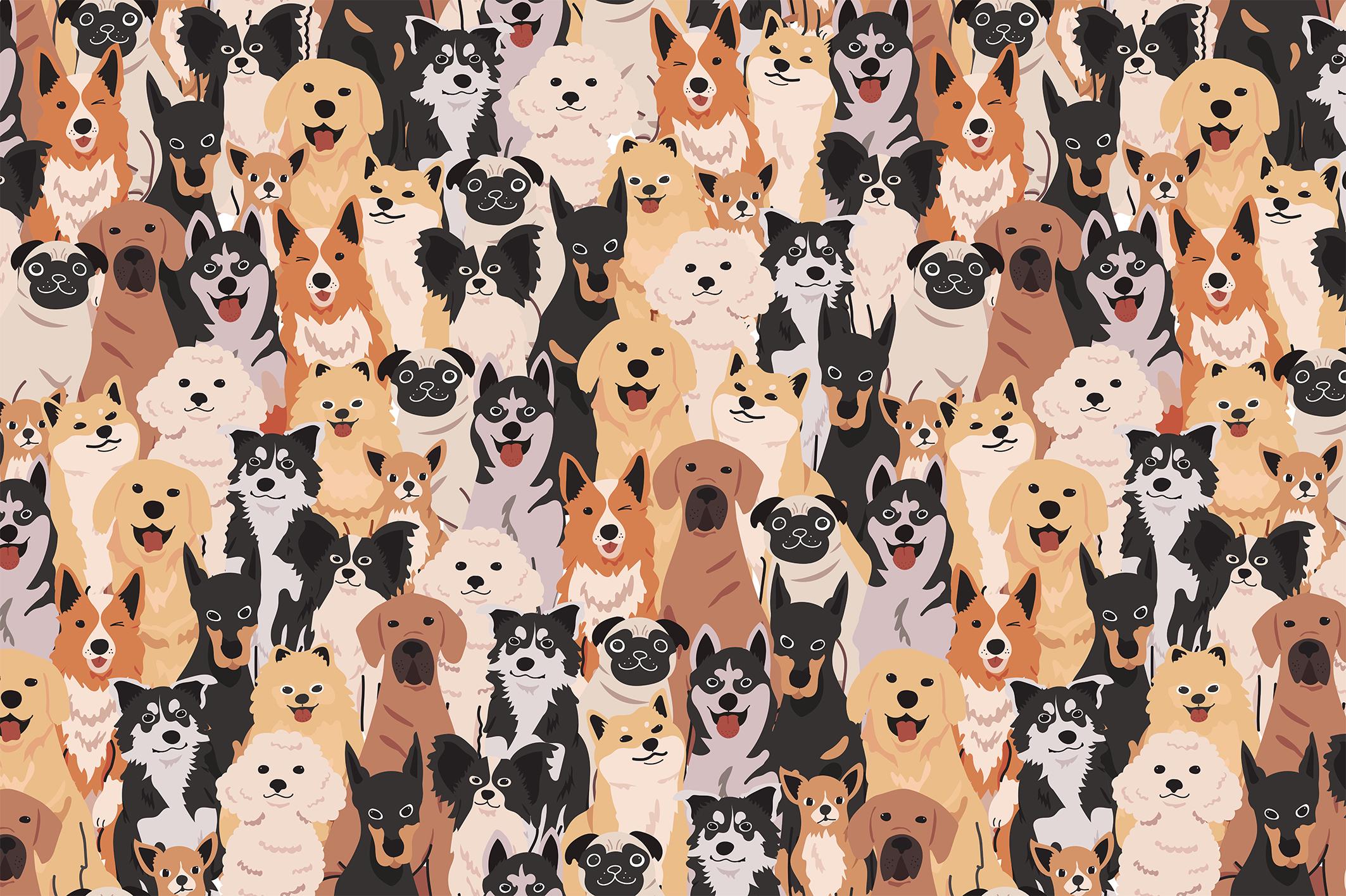 Фотообои флизелиновые Upstream Веселые любимцы 230х153 см (SPF-161/3)