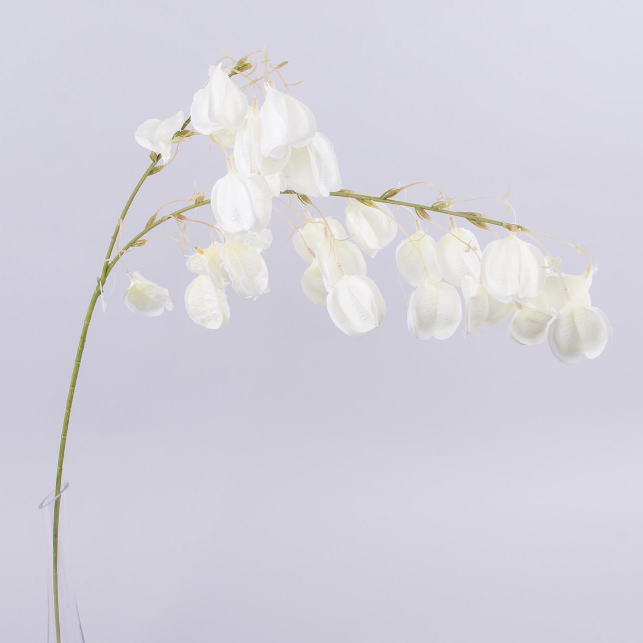 Физалис искусственный белый