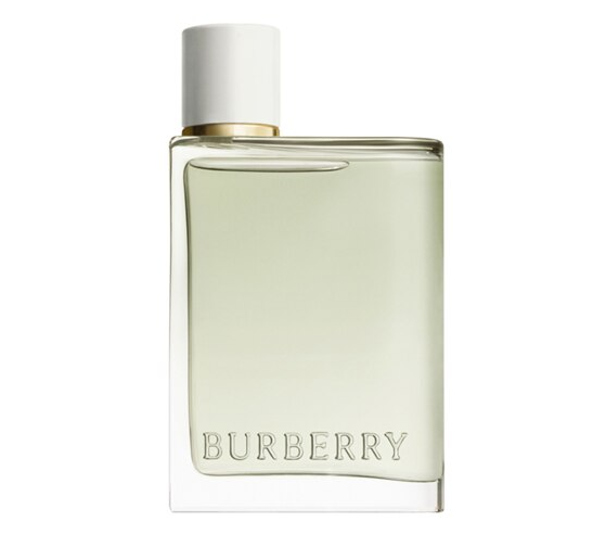 Туалетная вода аналог Burberry Her Eau de Toilette 100 мл (3616301975755)