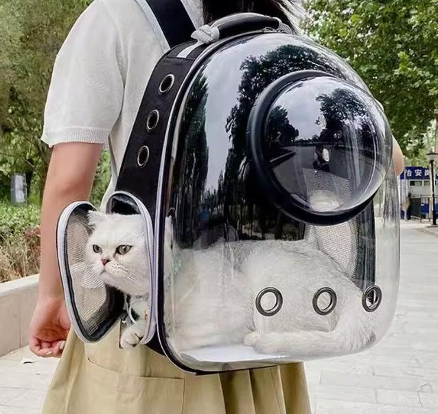 Сумка перенесення для котів Daegun Guangdong Cat Carrier Bag 35 л 35x42x25 см Прозорий (27776546) - фото 4 Сумка перенесення для котів Daegun Guangdong Cat Carrier Bag 35 л 35x42x25 см Прозорий (27776546) - фото 4