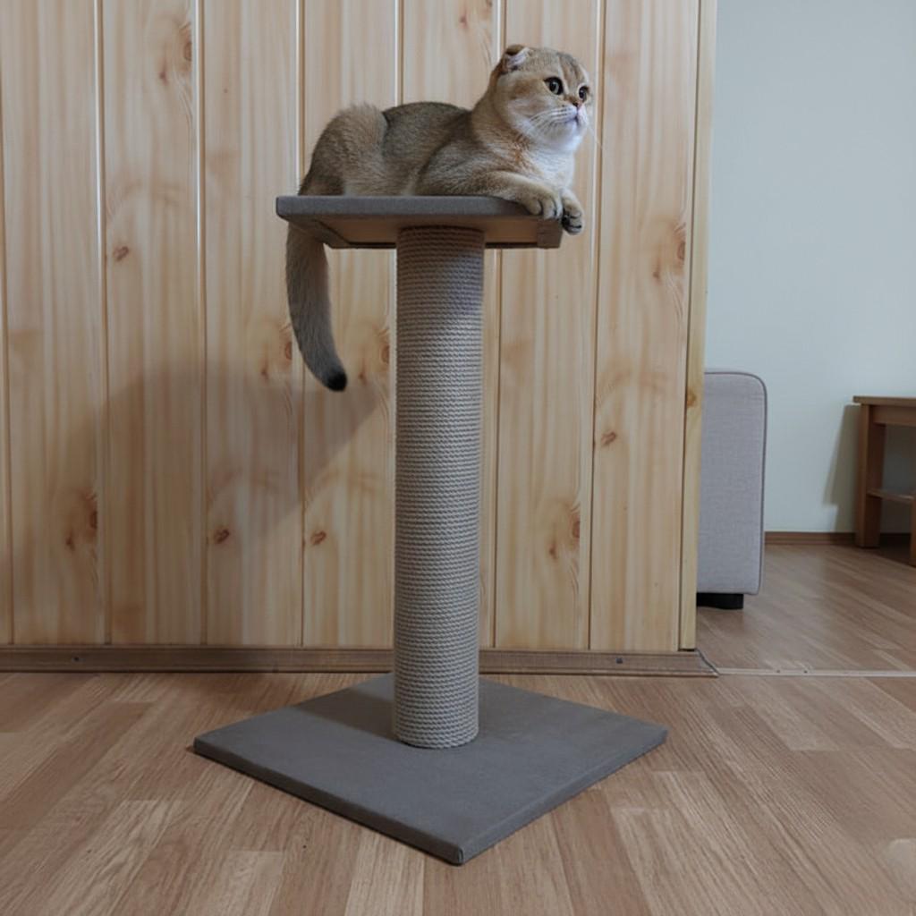 Когтеточка дряпка котику с лежаком 65 см
