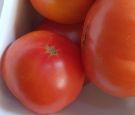 Семена помидоров Золотая медаль/Gold Medal 30 шт. (2976614643)