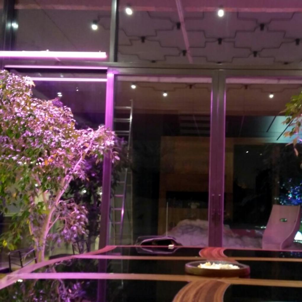 Фитосветильник подвесной светодиодный X-LED 30 Вт 620x42x43 мм (LFS-30) - фото 7 Фитосветильник подвесной светодиодный X-LED 30 Вт 620x42x43 мм (LFS-30) - фото 7