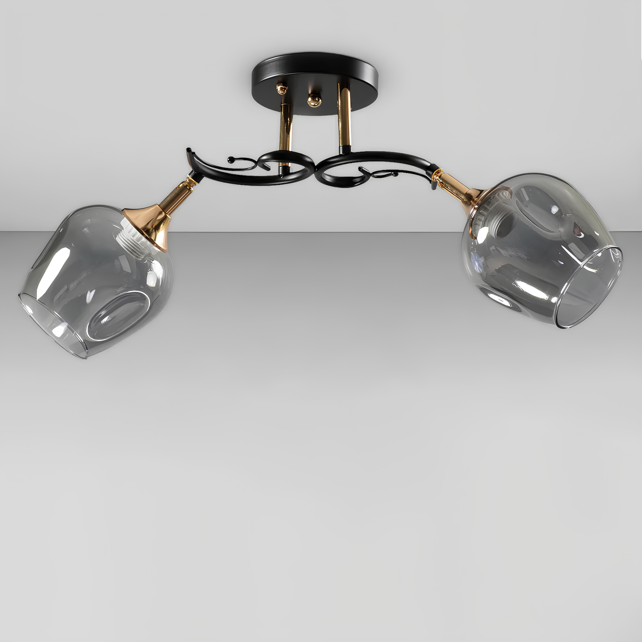 Люстра Svet с двумя стеклянными плафонами с поворотным механизмом под лампы Е27 Димчатый (SC-W3009/2 BK+FG)