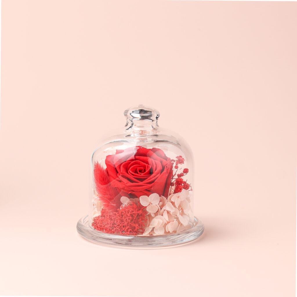 Интерьерная композиция в колбе Влюбленность 10 см