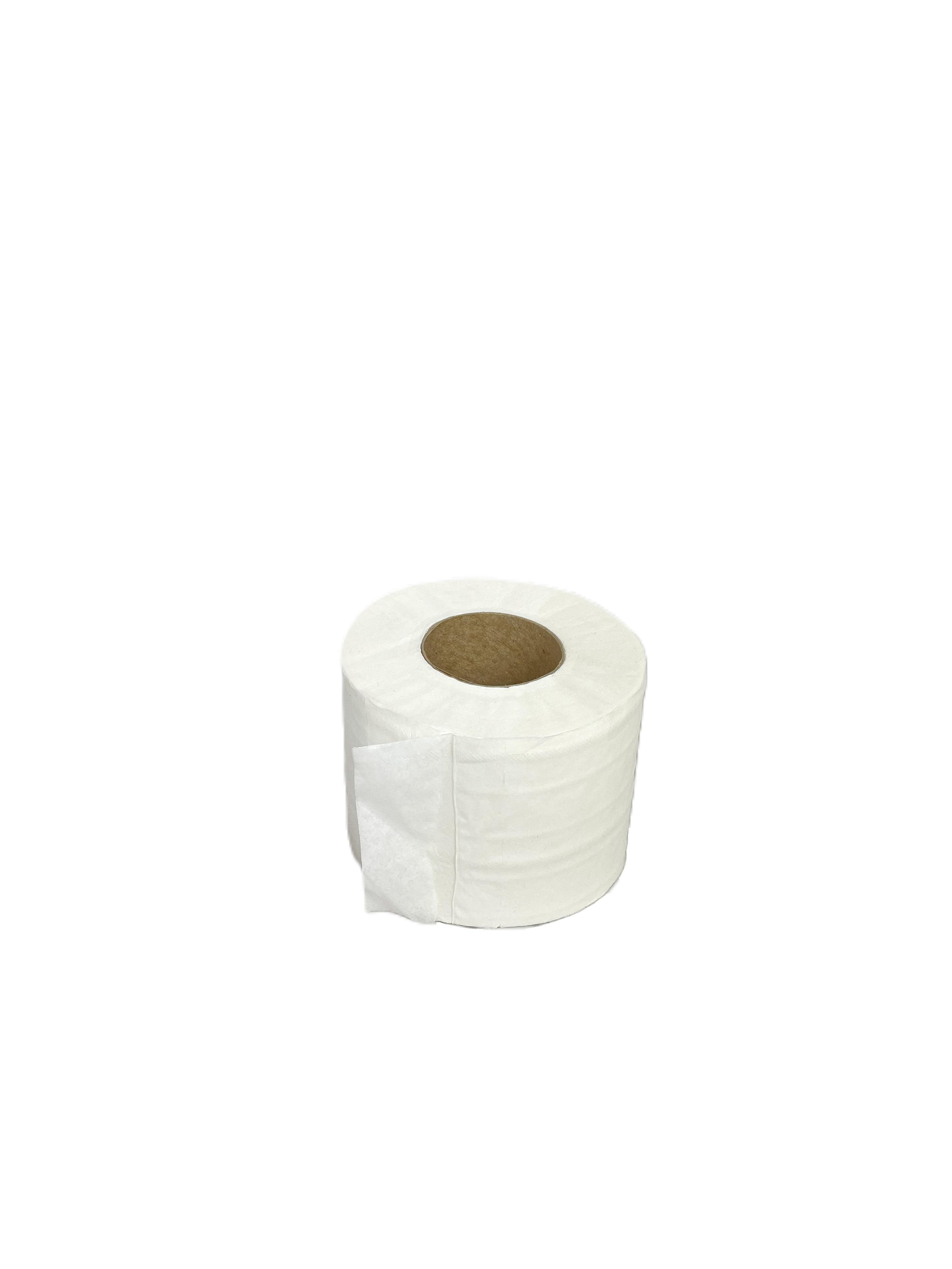 Туалетний папір Clean Point двошаровий 55 м Білий (ТПЦ2.55Р.0)