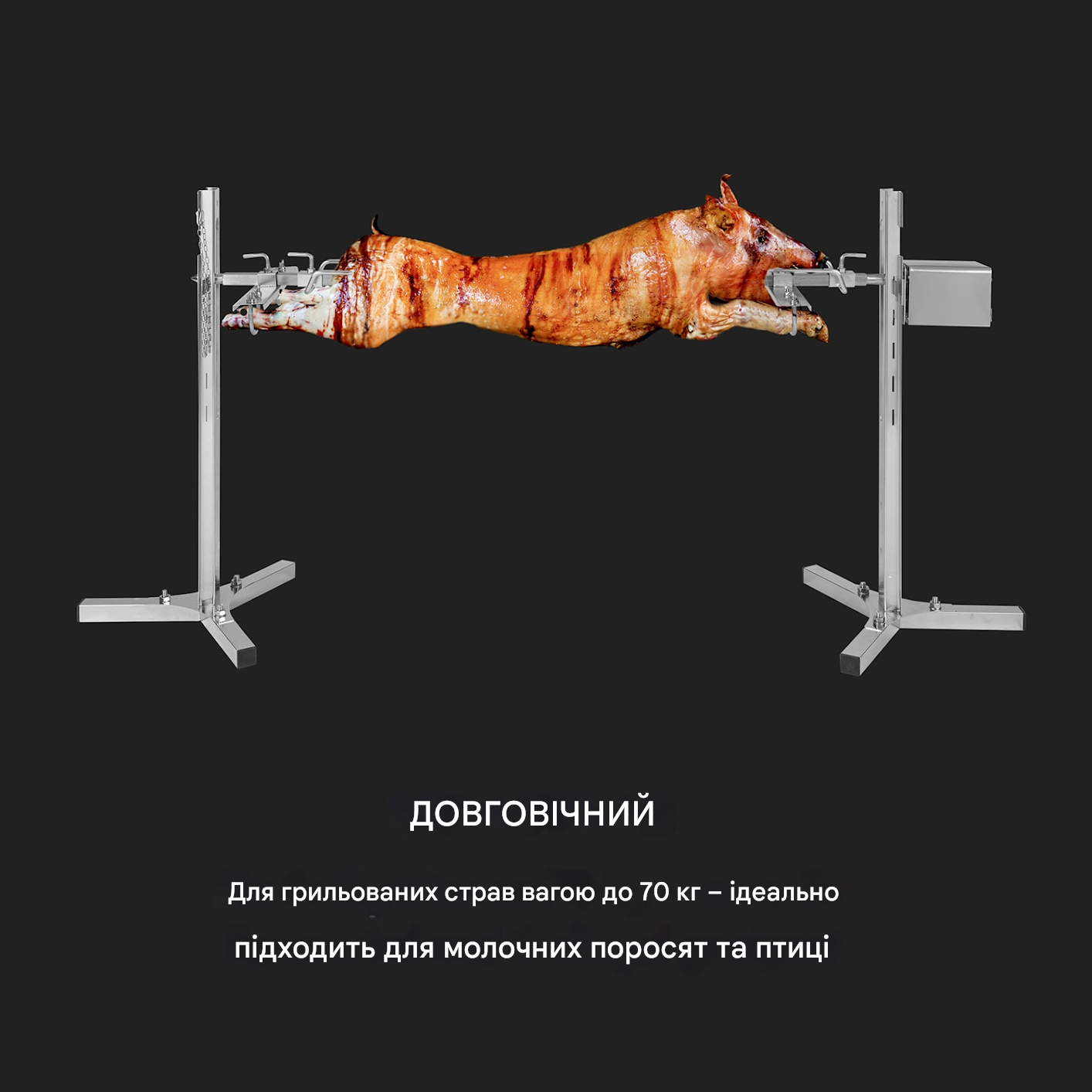 Гриль для молочного поросяти KLARSTEIN Sauenland Survivor з нержавіючої сталі (10035372) - фото 4