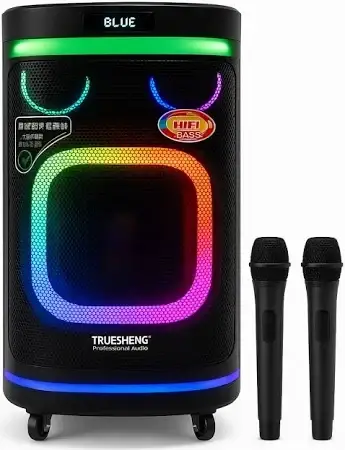 Портативная колонка Temeisheng 10291 80 Вт с Bluetooth Портативная колонка Temeisheng 10291 80 Вт с Bluetooth