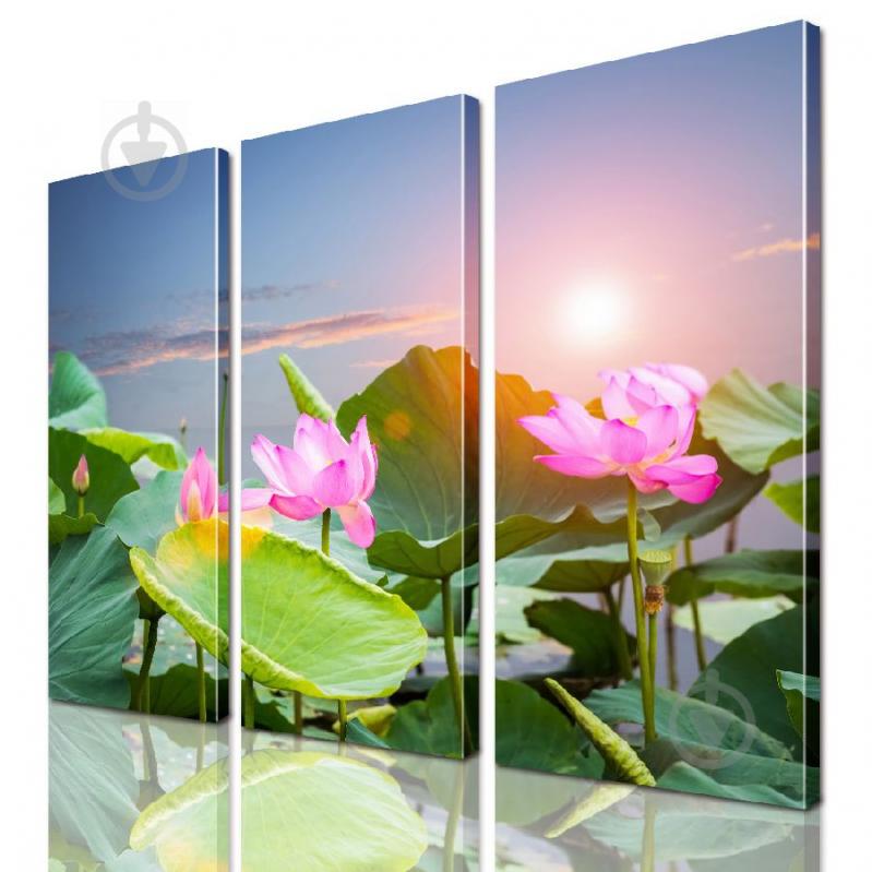 Модульная картина ArtStar ADNA0169 размер 55 х 70 см