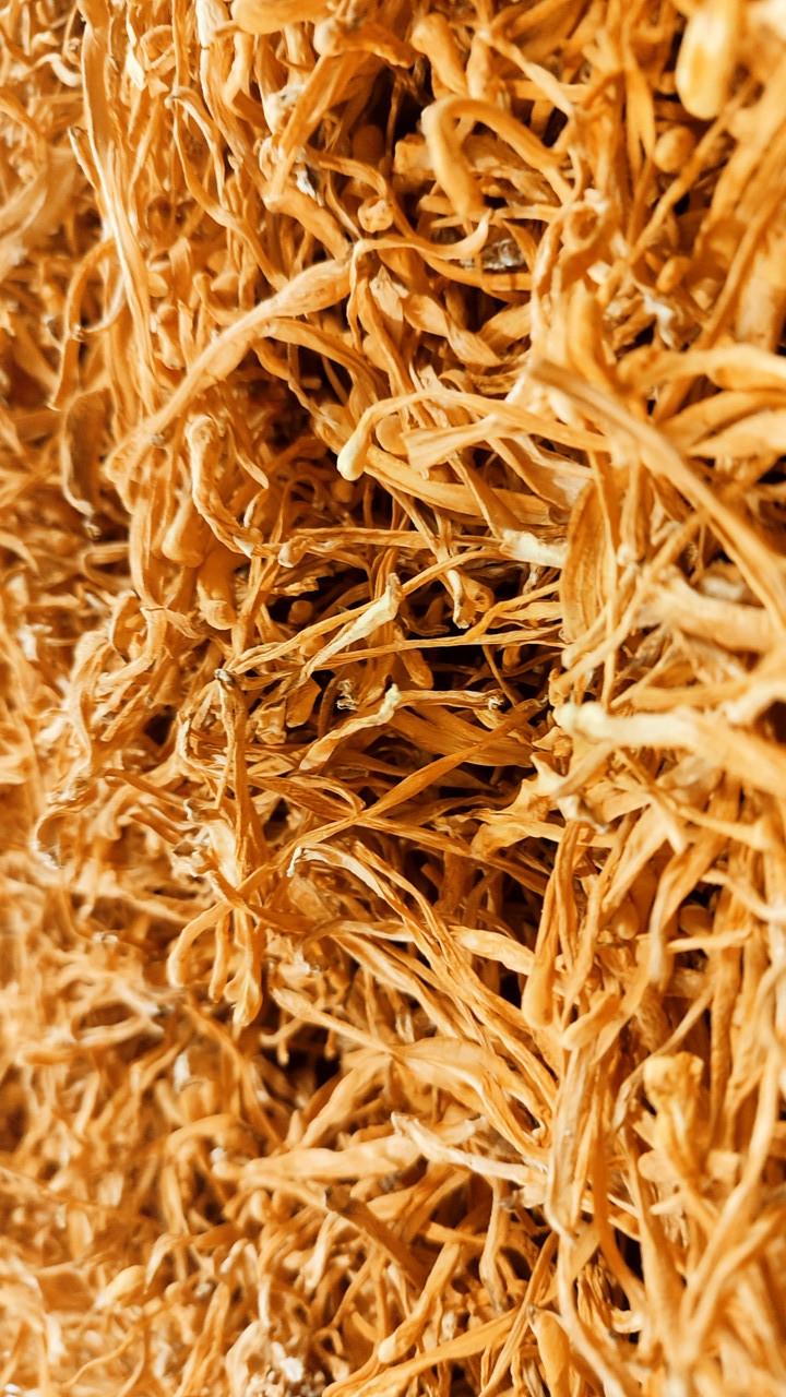 Кордицепс военный 1 кг (2191913240) - фото 5 Кордицепс военный 1 кг (2191913240) - фото 5