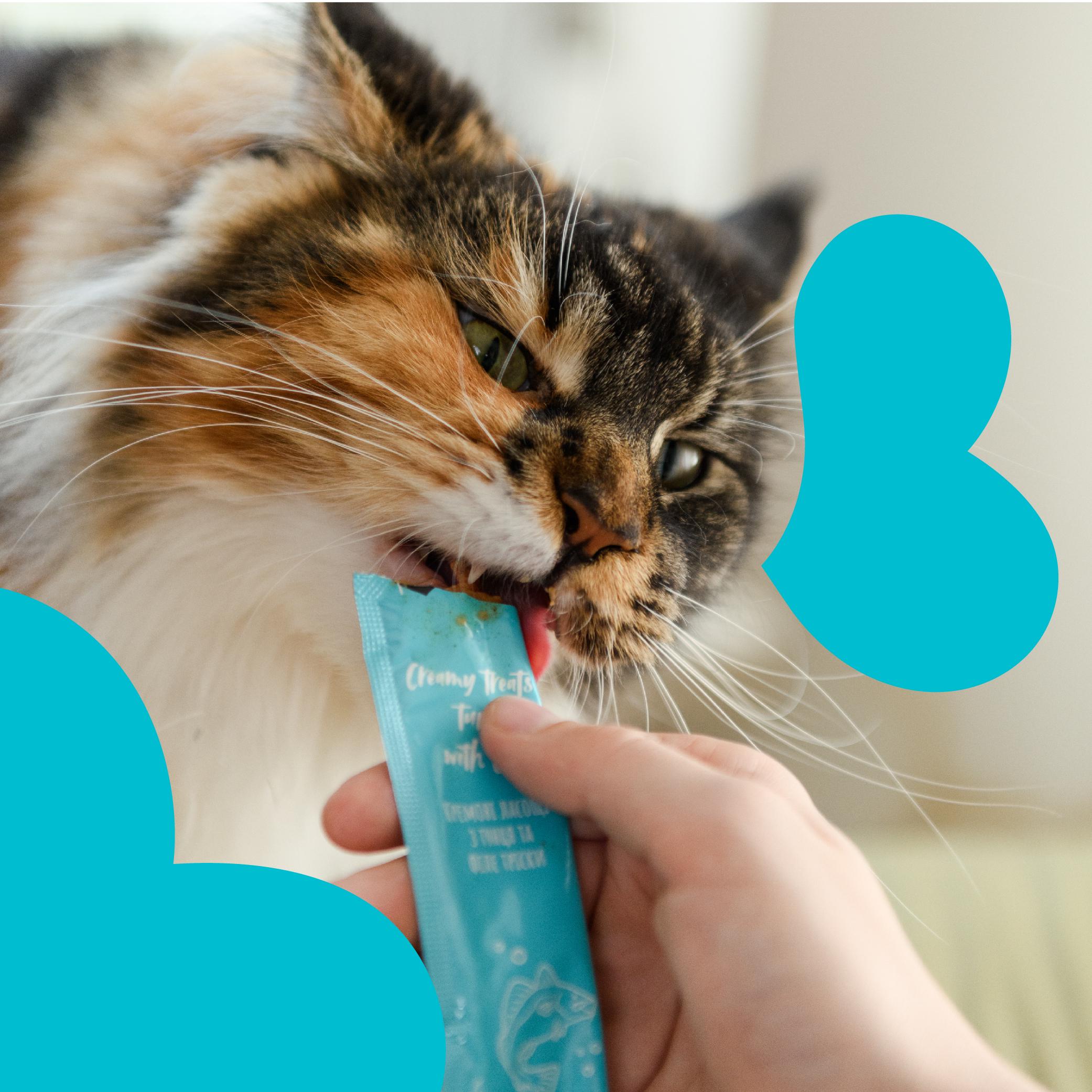 Ласощі для котів Mavsy Creamy lickable treats tuna with cod for cats 5х15 г - фото 5 Ласощі для котів Mavsy Creamy lickable treats tuna with cod for cats 5х15 г - фото 5