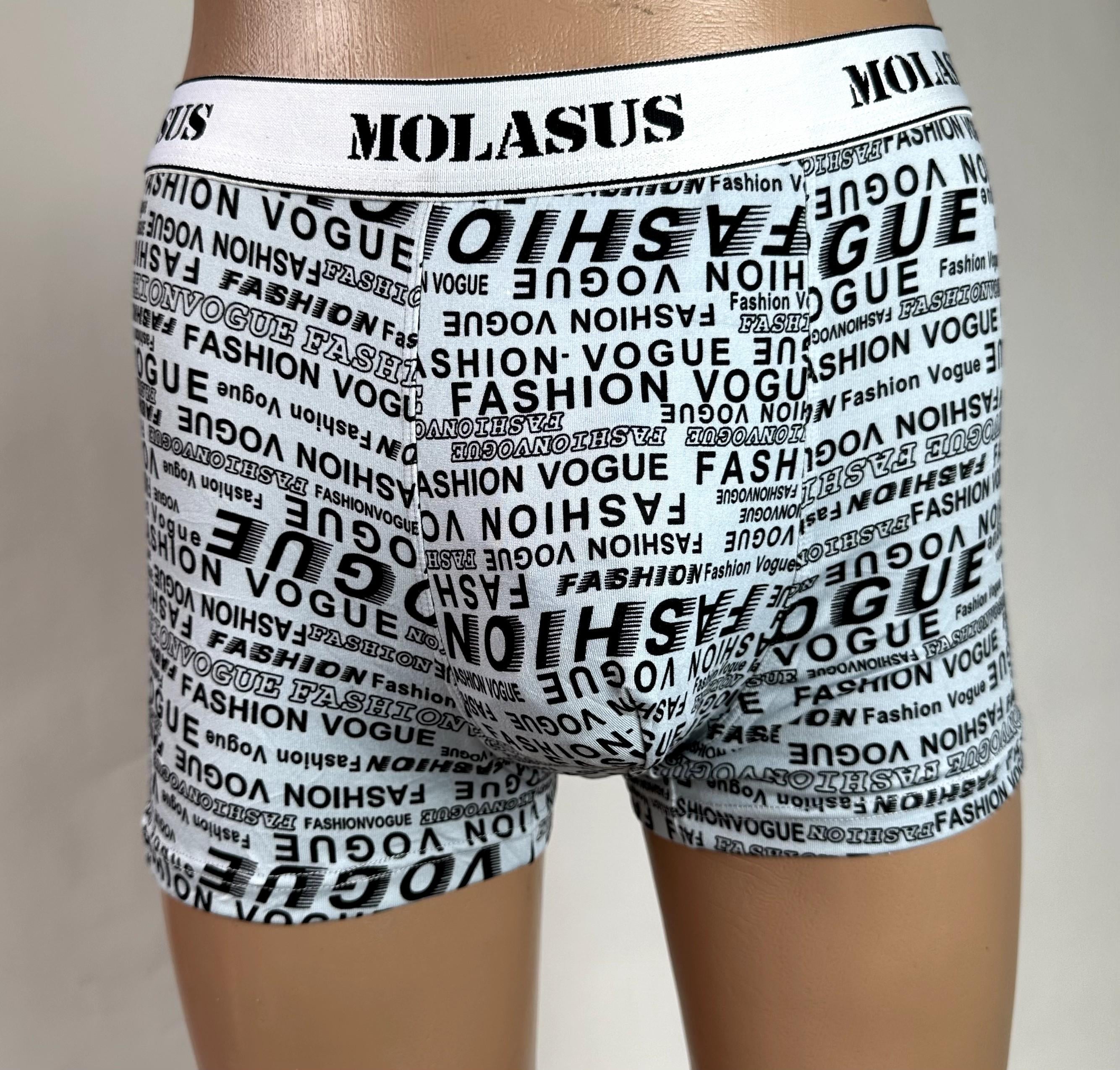 Трусы-боксеры мужские Molasus 6305 норма/баталл 4XL Белый (6305-3)