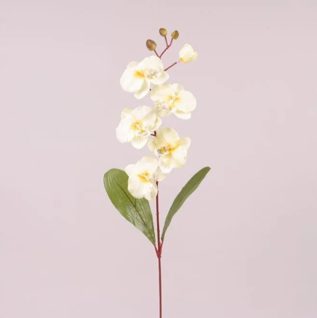Цветок Фаленопсис Flora Желтый (73017) Цветок Фаленопсис Flora Желтый (73017)