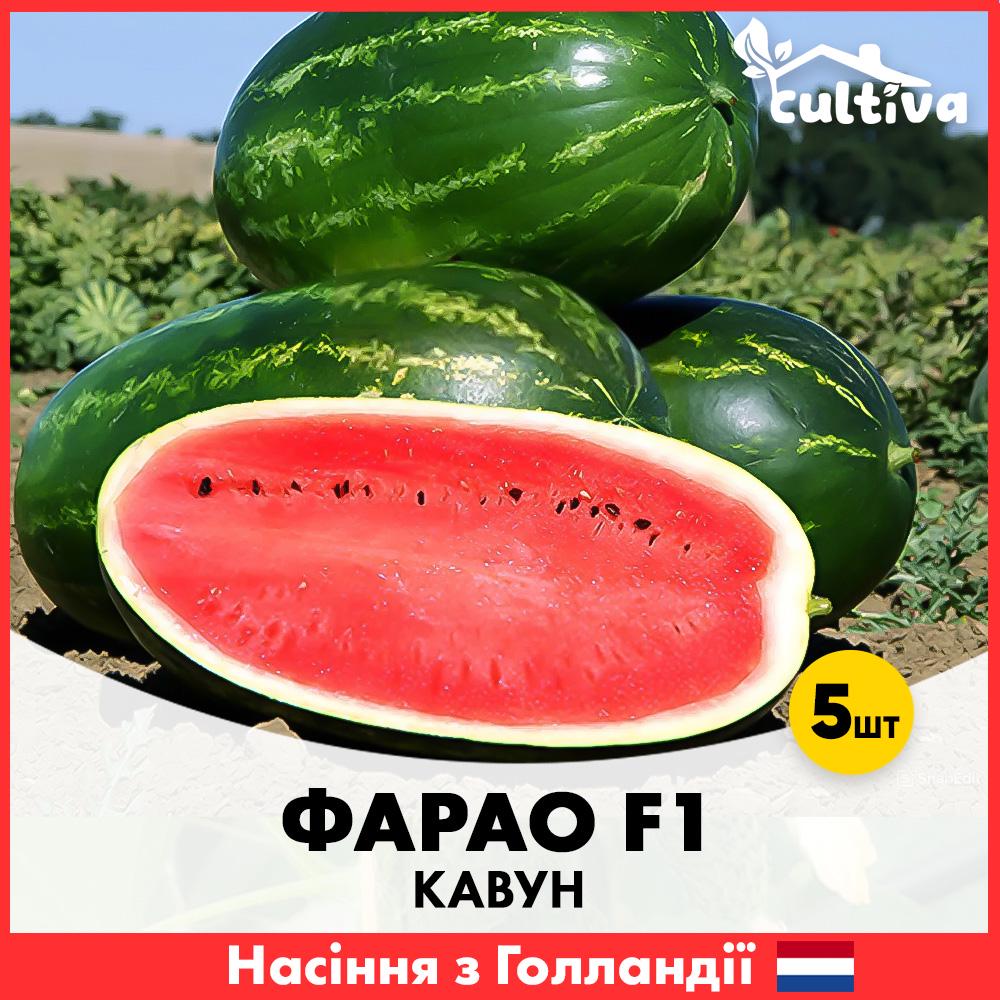 Семена арбуза Syngenta Фарао F1 5 шт. (WER1125)