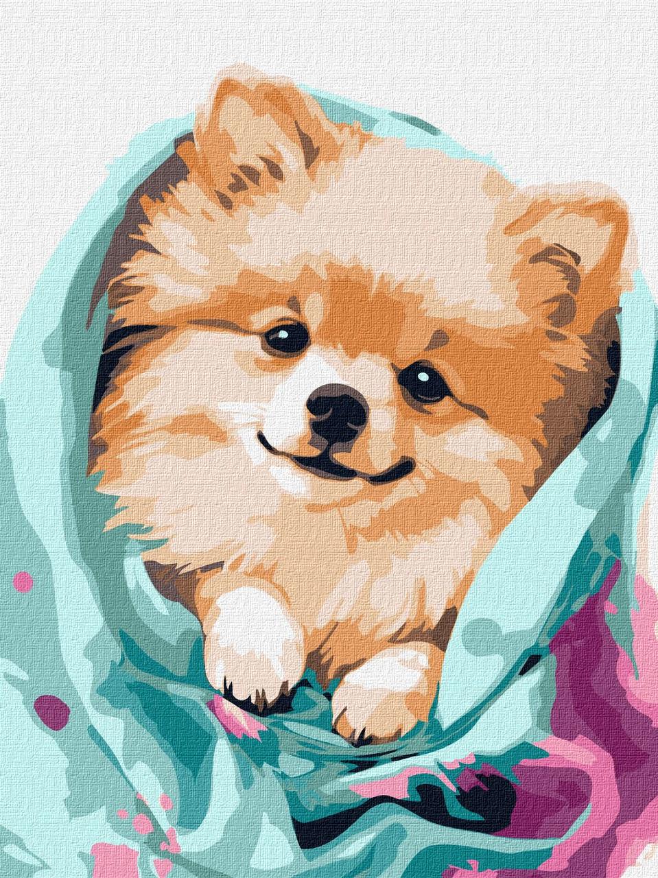 Картина по номерам Идейка KHO6545 Счастливый шпиц 30x40 см (2092698421)