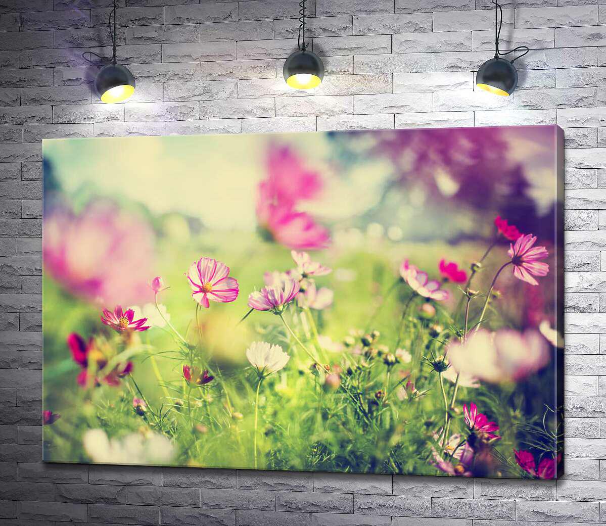 Картина ArtPoster Нежность цветов космеи 50x35 см Модуль №1 (002893)