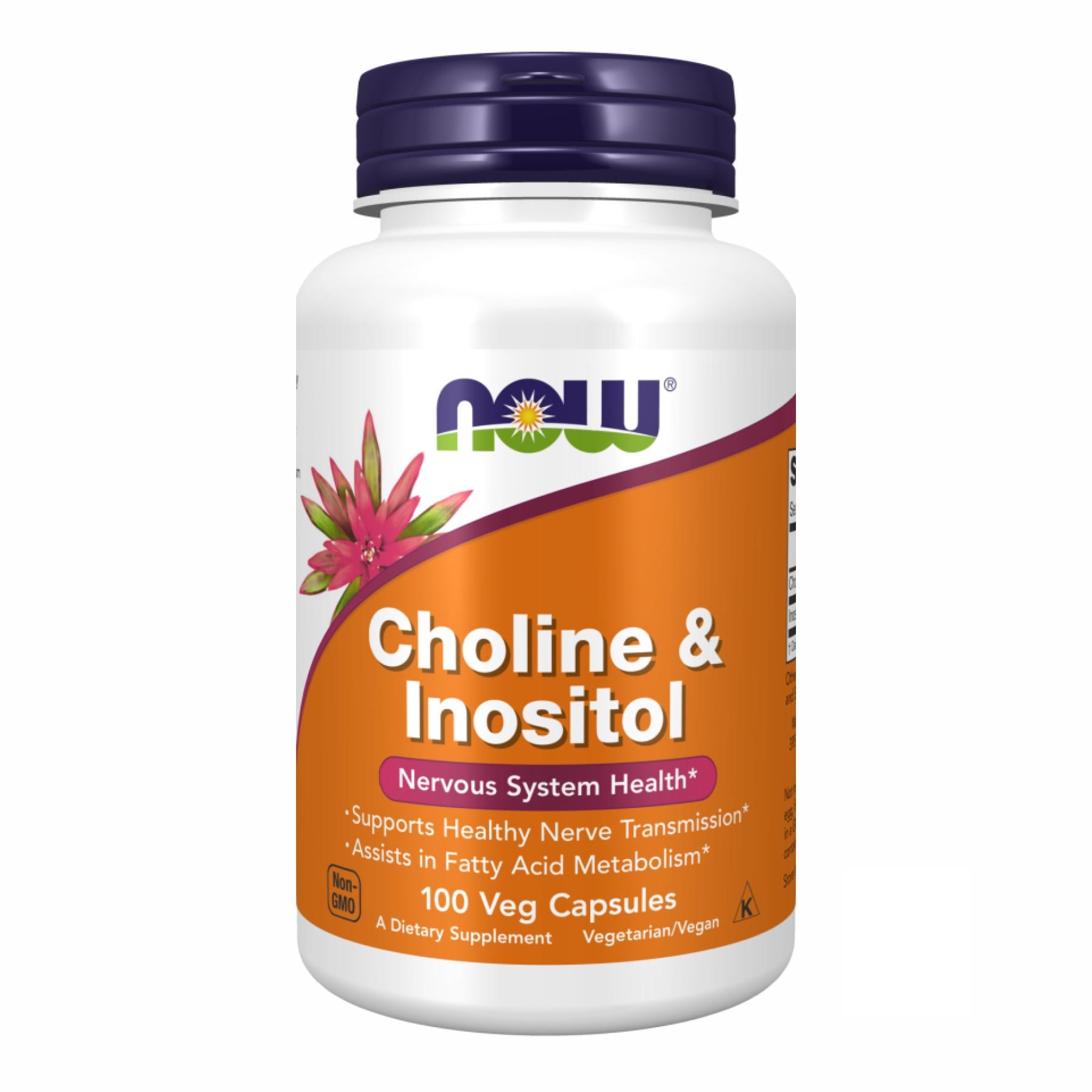 Натуральная добавка CHOLINE & INOSITOL 250/250 mg 100 vcaps (2022-10-0004)