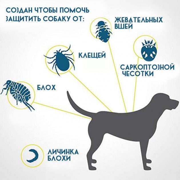 Нашийник проти бліх/кліщів для собак Clefers Collar гіпоалергенний 50 см (5040922) - фото 4