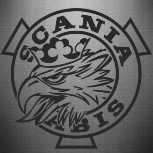 Наклейка Scania Vabis logo 30x27,8 см Черный (21558603)