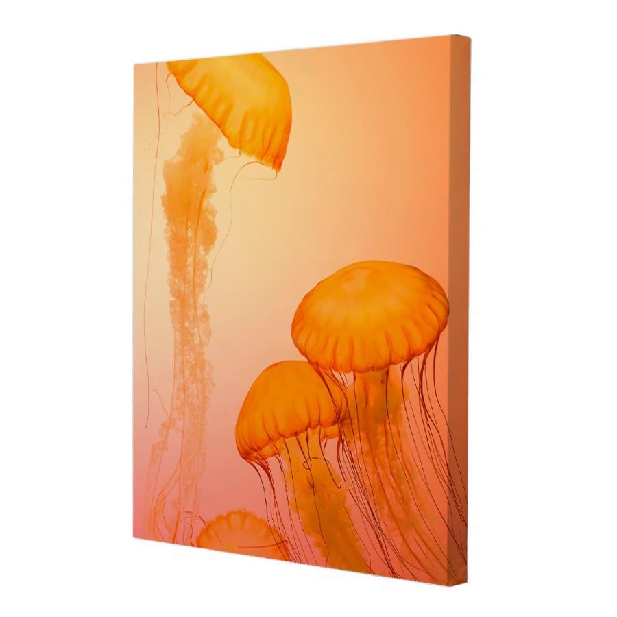 Постер Riviera Blanca Тепла течія 40x50 см (ПС50-237)