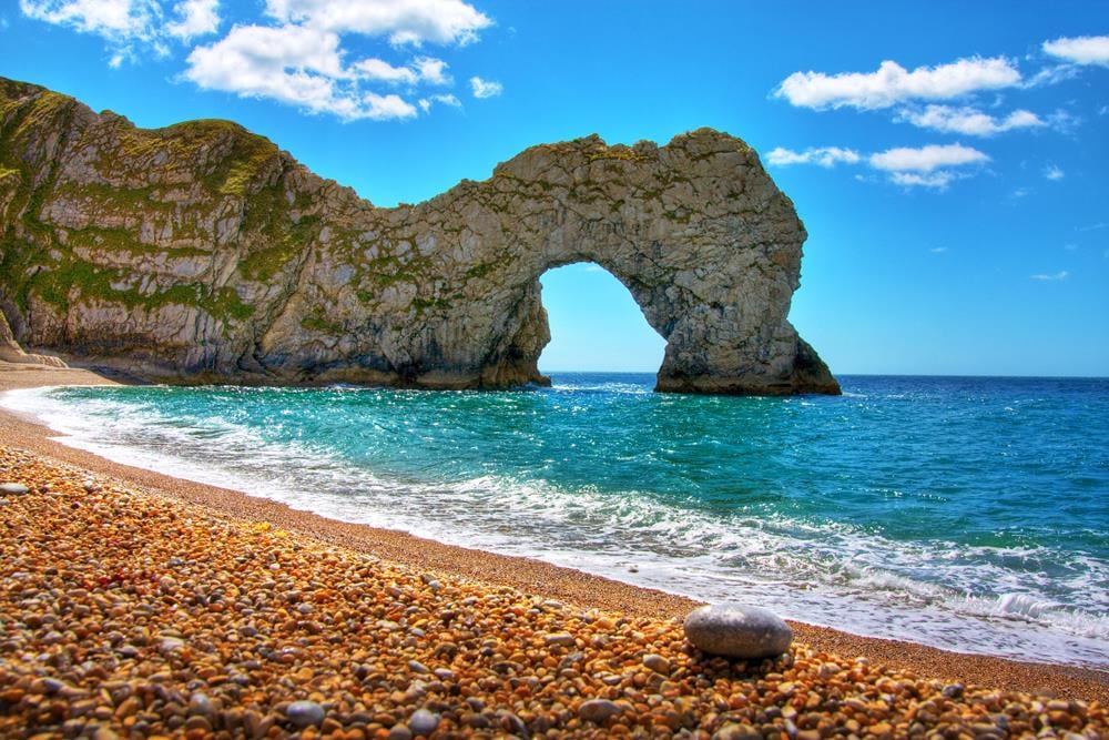 Картина Природа PR188 55х85 см