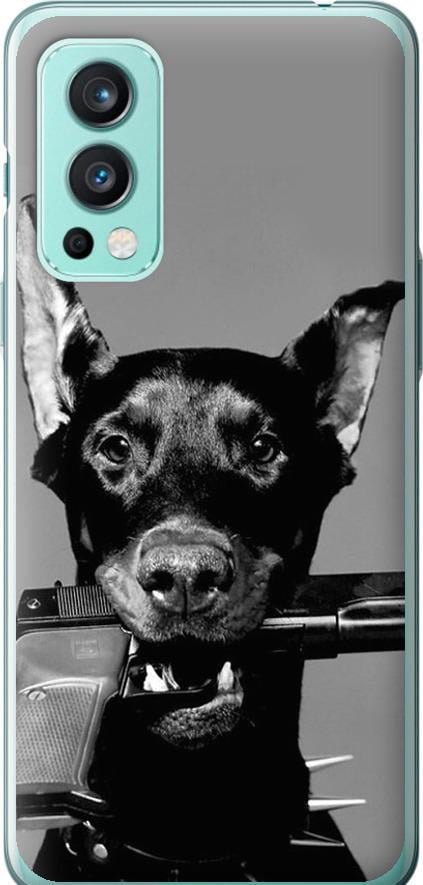 Чохол на OnePlus Nord 2 Доберман (2745u-2468-42517)