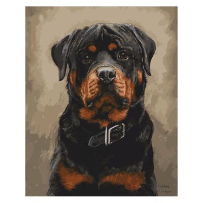 Картина по номерам Strateg Ротвейлер 40х50 см термопакет (VA-0011)